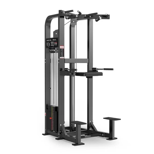 Dual espalda triceps torre