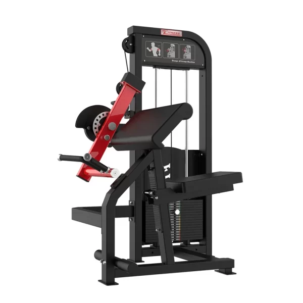 dual biceps-triceps
