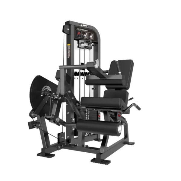 dual p1 cuad-isquios