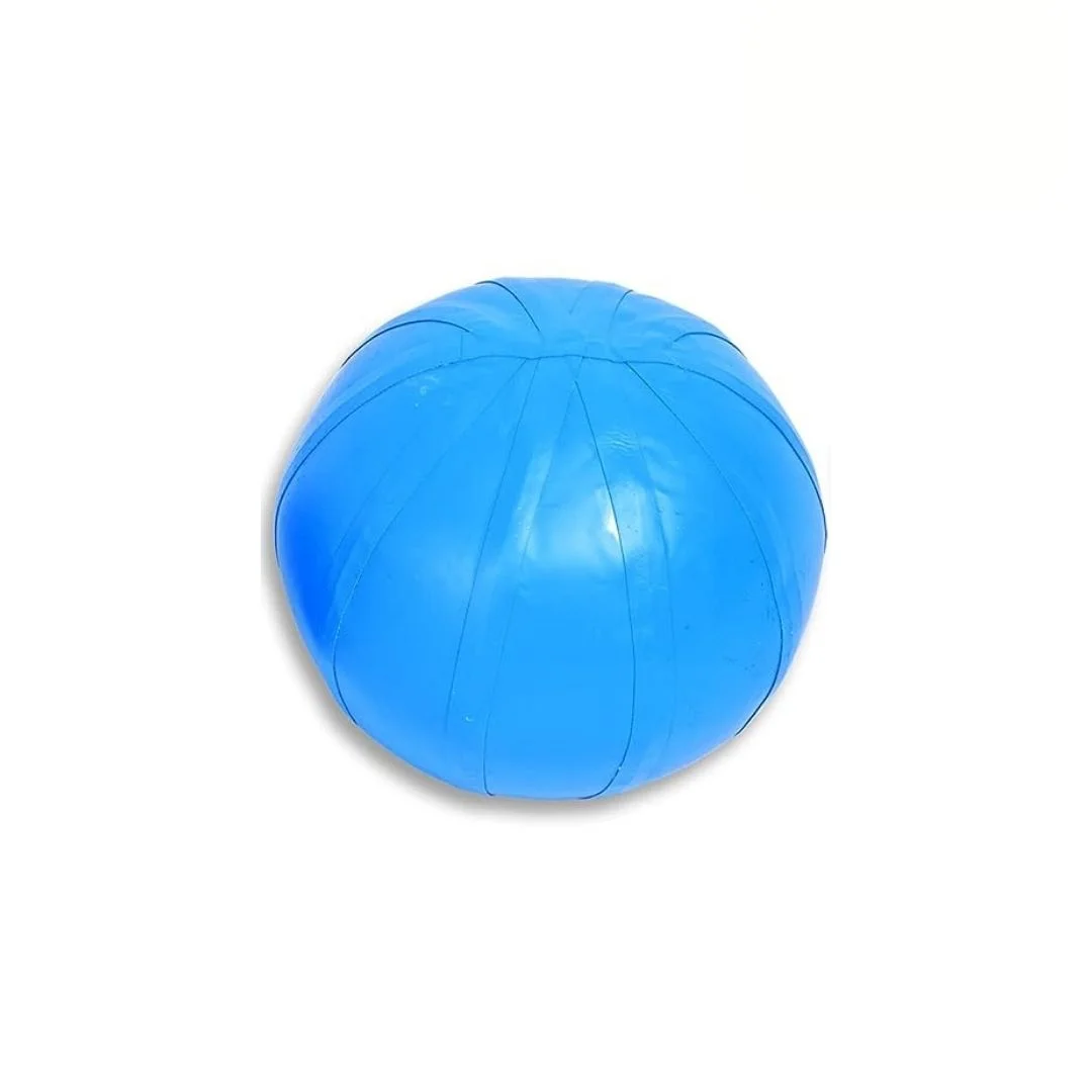 Aqua ball de 14 a 65kg - Imagen 3