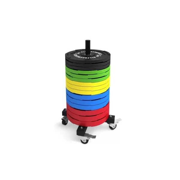 comprar-soporte-vertical-barra-palo-de-discos-olimpicos-con-ruedas-portatil-movil-facil