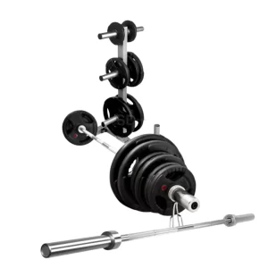 LOTE: Barra con Discos x2 + Mueble de Almacenamiento