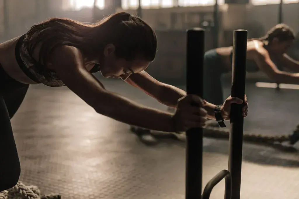 Trineos gimnasio y Arneses