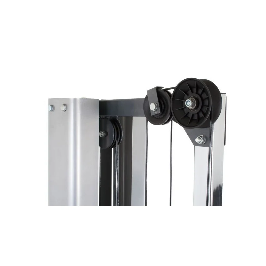Máquina de Poleas TSDP • 75kg - Imagen 3