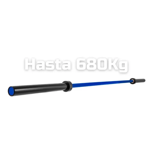 Barra 20kg azul-2 (2)