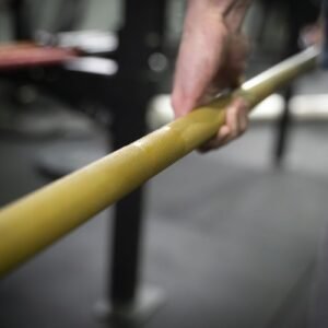 Barra 20Kg COLOR-ORO 8R [680kg]